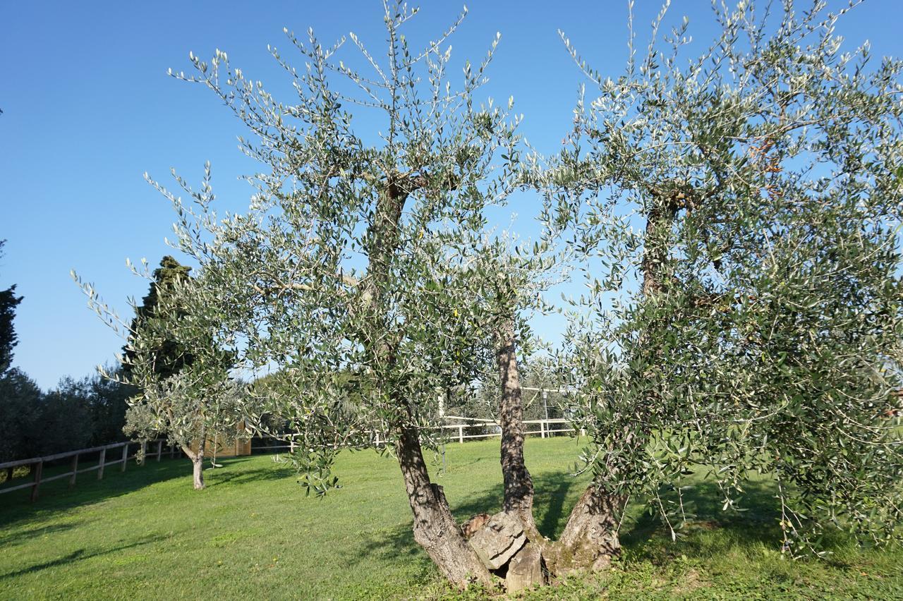 Villa Residenza Piandaccoli Lastra a Signa Exterior foto